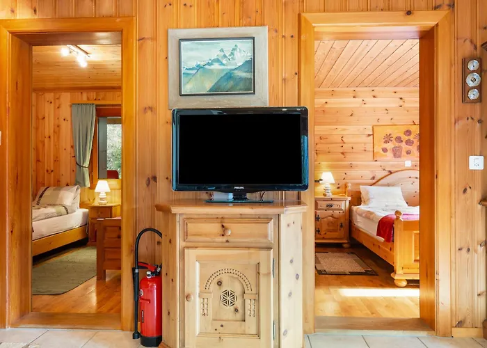 Als Man Zaehlte 1989 By Interhome Chalet